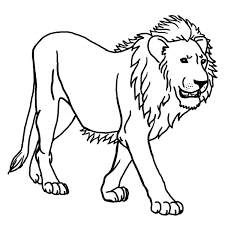 Black-and-white line drawing of a male lion walking, detailed mane and facial features visible.