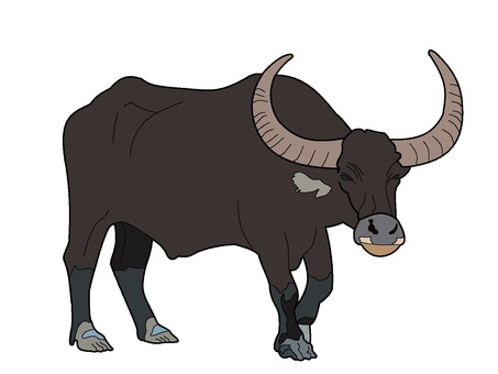 Classroom Clipart : Buffalo Clipart : 11-12-07_02e