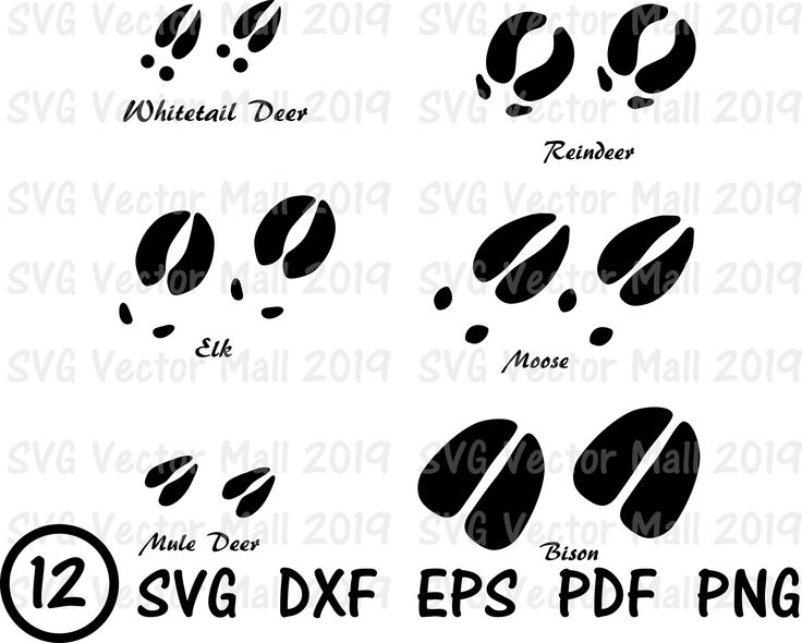 185 × 240 Pixels - Deer Track Clip Art - Free Transparent PNG 