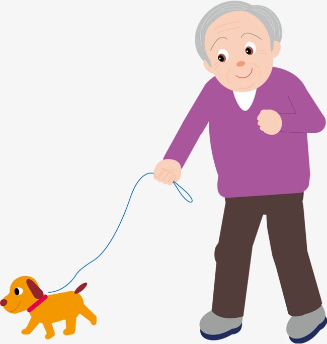 Elderly man in purple sweater walking a small orange dog on a blue leash, smiling warmly.
