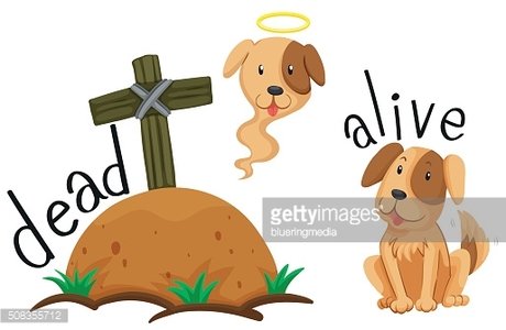 Free clip art Alive And Dead Icons by progformer