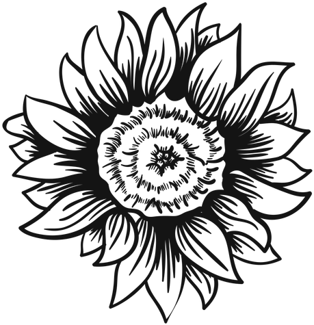Black-and-white line-art sunflower with detailed petals and textured center, stylized botanical illustration.