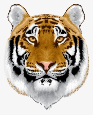 Tiger Head SVG Cricut, Wild Animal Clipart, Black And White Vector, Do –  Art4youSpace