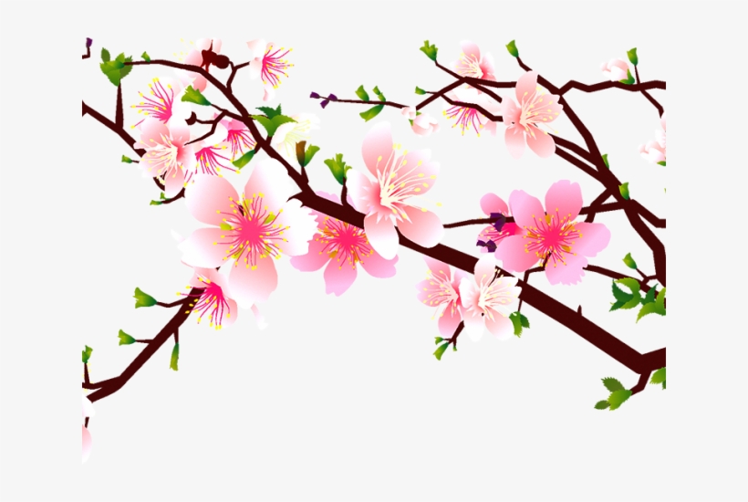 Cherry Blossom Clipart - Free High-Quality Sakura Illustration