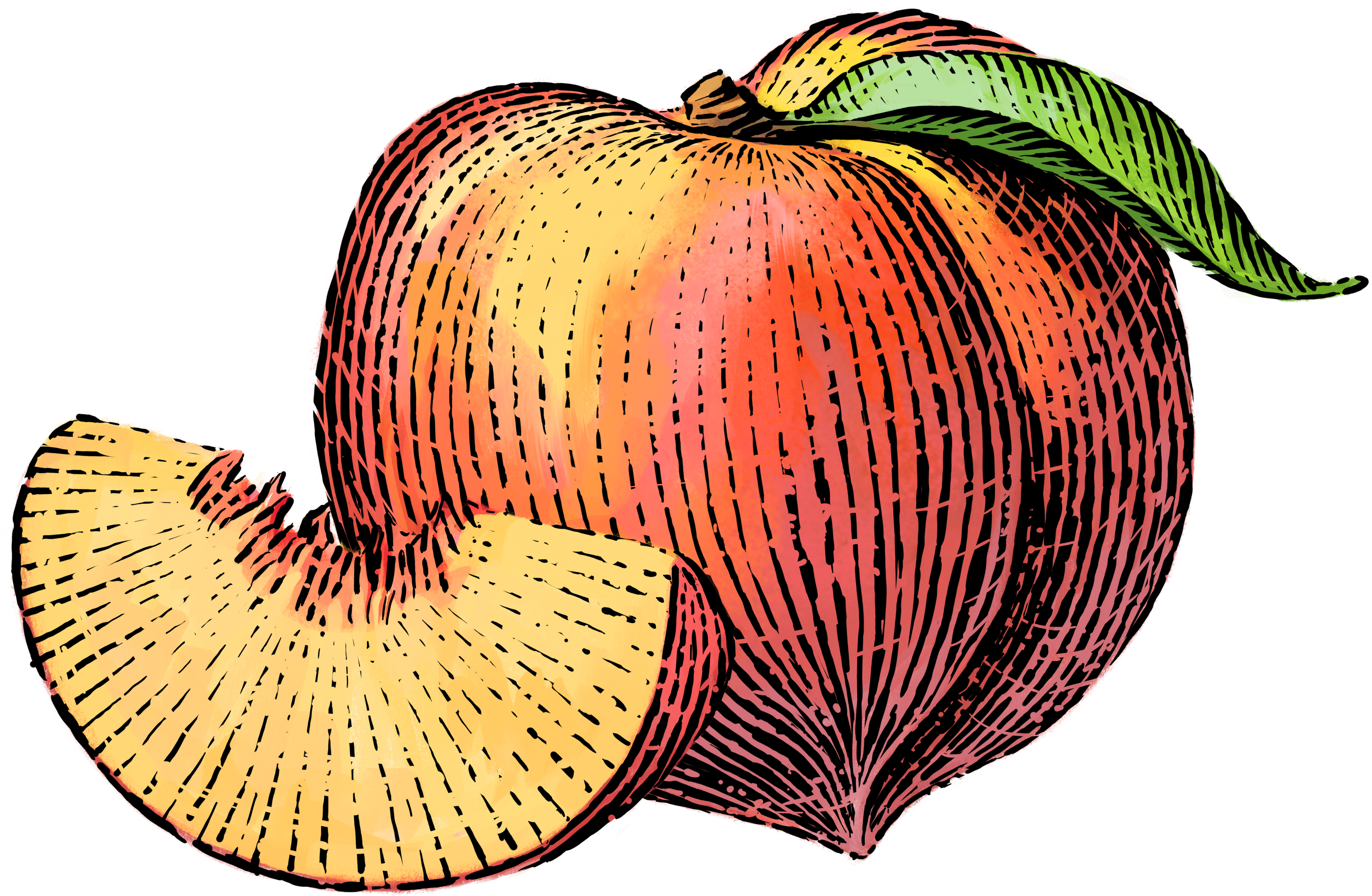 A vibrant stylized peach with a green leaf, partially sliced to reveal juicy yellow flesh, rendered in bold linework and warm gradients.