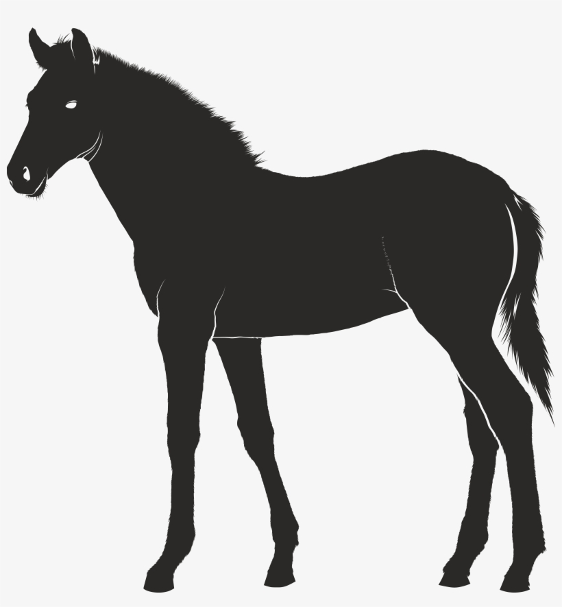 Black silhouette of a young horse (foal) standing in profile against white background.