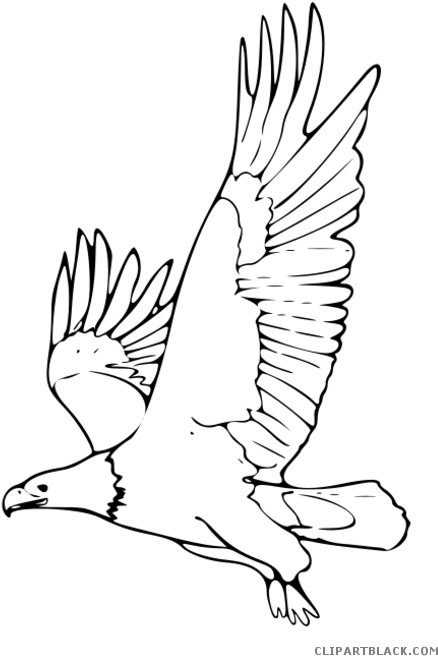 A blank black image with no visible content or detail.