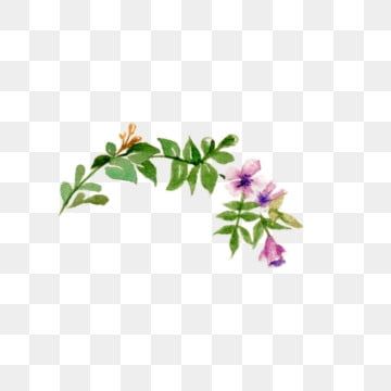 Free clip art of flower vines clipart image - Clipart Library - Clip ...