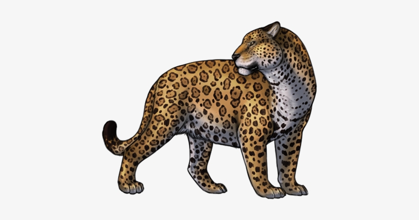 A detailed illustration of a jaguar standing in profile, showcasing its distinctive rosette-patterned coat and muscular build.