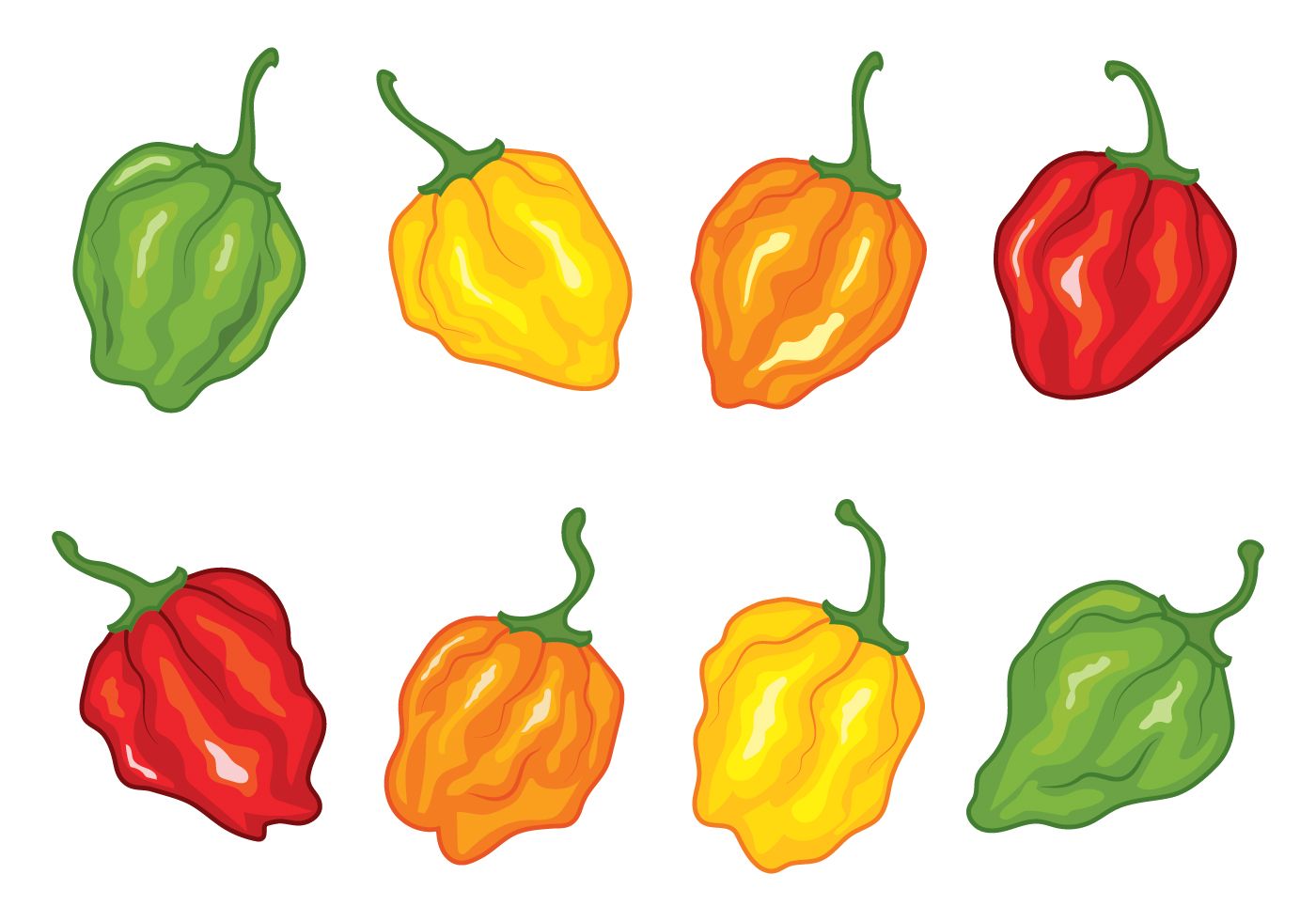Eight illustrated habanero peppers in green, yellow, orange, and red stages of ripeness, arranged in two rows.
