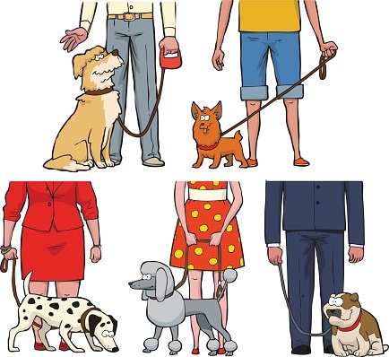 dog shows