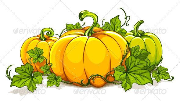 Colorful autumn pumpkins with green vines and leaves arranged in a cluster on white background.