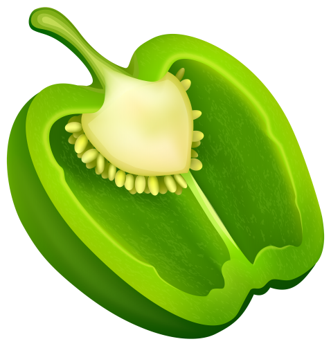Cross-section of a fresh green bell pepper showing seeds, placenta, and vibrant flesh.