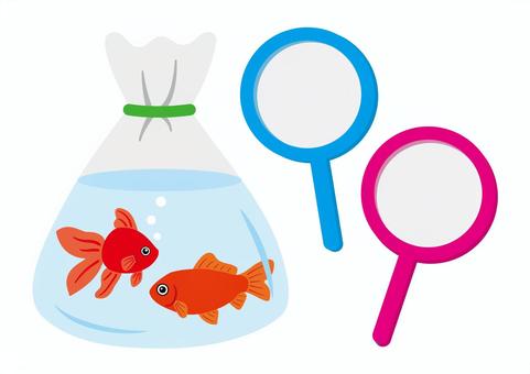 Two goldfish in a transparent plastic bag filled with water, next to blue and pink magnifying glasses.