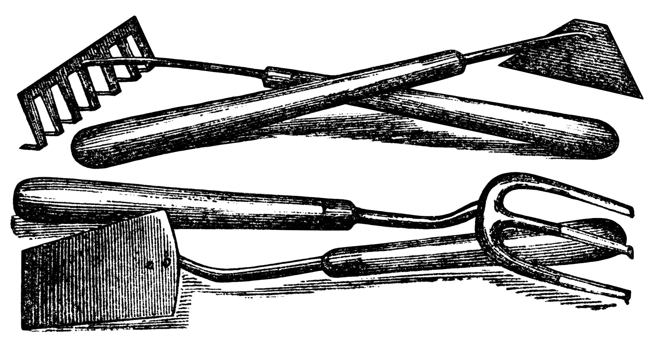 Classic Gardening Tools Illustration - Vintage Botanical Art