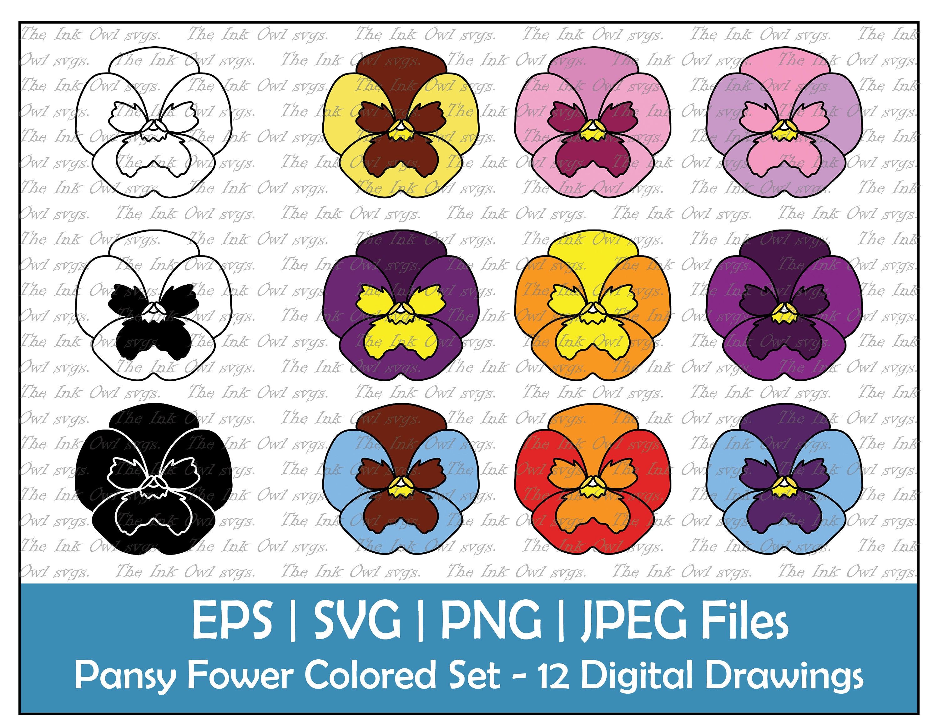 Pansy Flower SVG & PNG Set - 12 Digital Drawings for Crafters & Designers