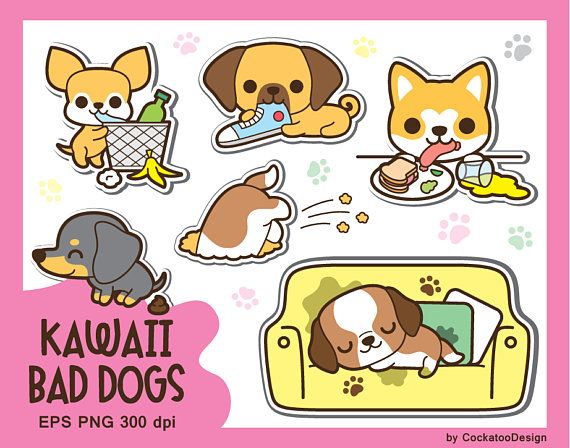 cat and dog 2018