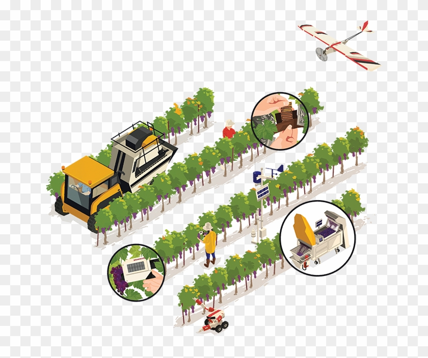 Smart Vineyard Technology: Precision Tools for Modern Winemaking