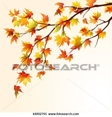 Autumn maple branch with vibrant orange, yellow, and red leaves against a soft beige background.
