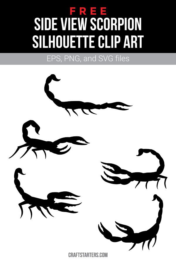 Free Side View Scorpion Silhouette Clip Art - EPS, PNG, SVG Downloads