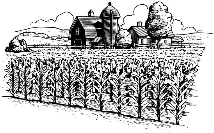 Black-and-white line drawing of a rural farm with cornfield, barn, silo, and farmhouse under cloudy sky.