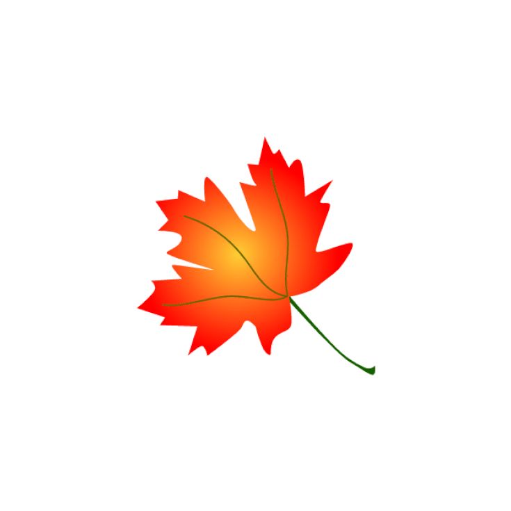 Vibrant red-orange maple leaf with green stem and visible veins on white background.