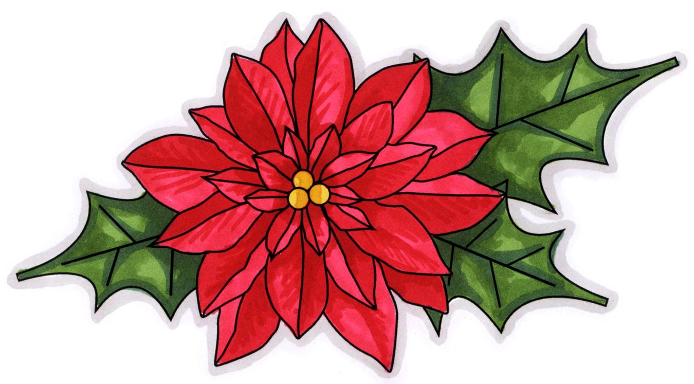 Poinsettia and Holly Illustration - Festive Holiday Clip Art
