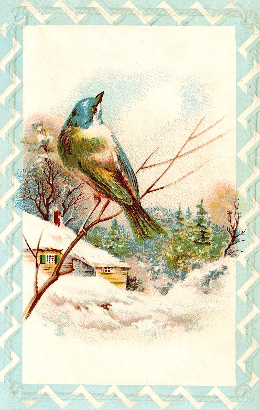 Vintage winter illustration of a colorful bird perched on a snowy branch with a cabin and evergreens in the background.