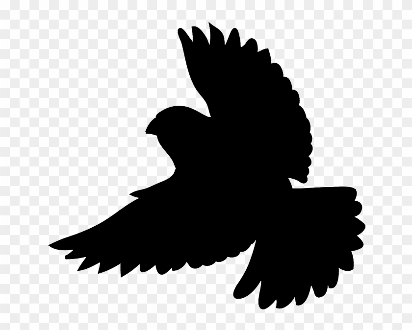 Silhouette of a bird in flight with outstretched wings against transparent background.