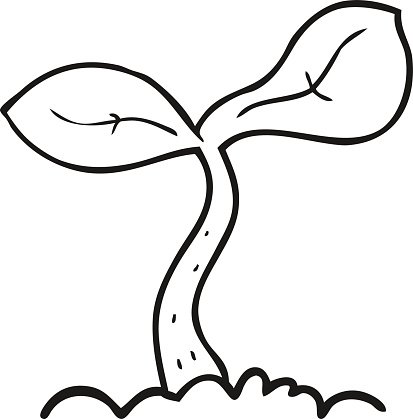 Seeds Take Time To Grow - Growing Process Of A Plant Clipart - Clip Art ...