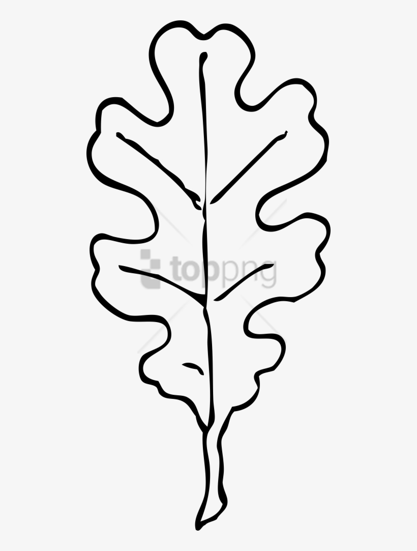 Oak Leaf Outline Clip Art at Clker.com - vector clip art online - Clip ...