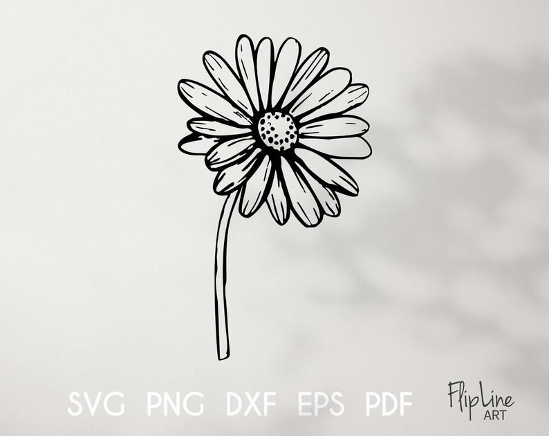 Black-and-white line drawing of a daisy with detailed petals and dotted center, on light background.