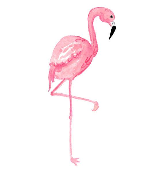 Pink Flamingo Watercolor Illustration - Elegant Bird Art for Design & Decor