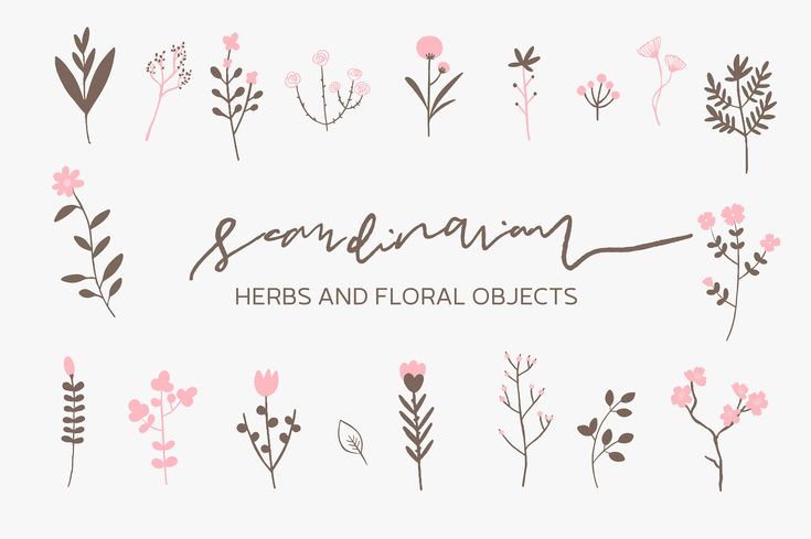 Scandinavian Herbs & Floral Illustrations - Hand-Drawn Botanical Clipart