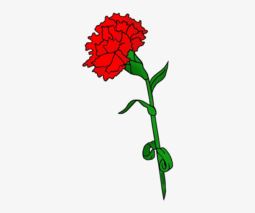 A vibrant red carnation with green stem and leaves, illustrated in a simple hand-drawn style.