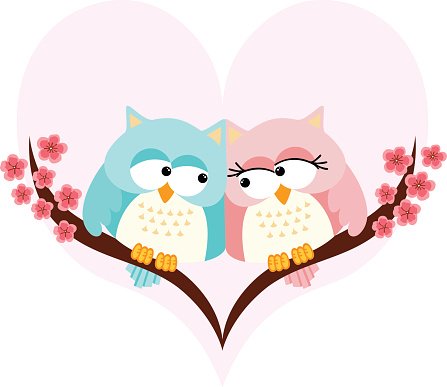 Two cartoon owls in love perched on a cherry blossom branch inside a pink heart.