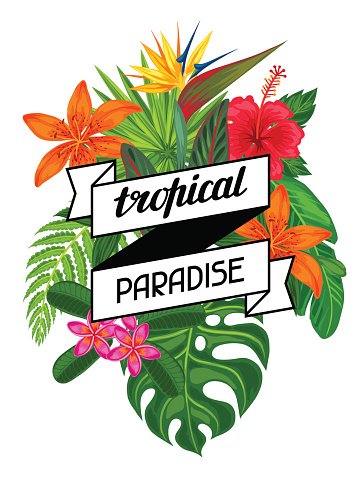 Vibrant tropical floral arrangement with lilies, hibiscus, bird of paradise, monstera leaves, and banner reading "tropical PARADISE".