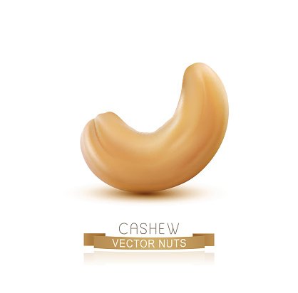 Realistic vector illustration of a single golden-brown cashew nut on white background.