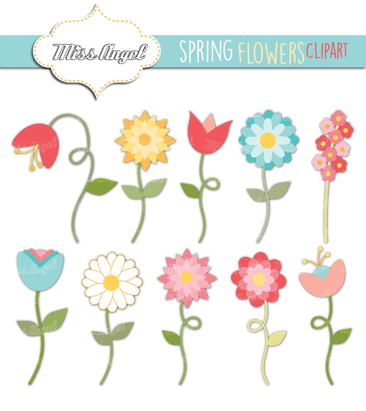 Colorful spring flower clipart set with tulips, daisies, and blossoms in pastel tones by Miss Angel.