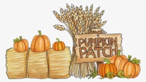 Pumpkin Patch Fall Harvest Illustration | Seasonal Decor & Design