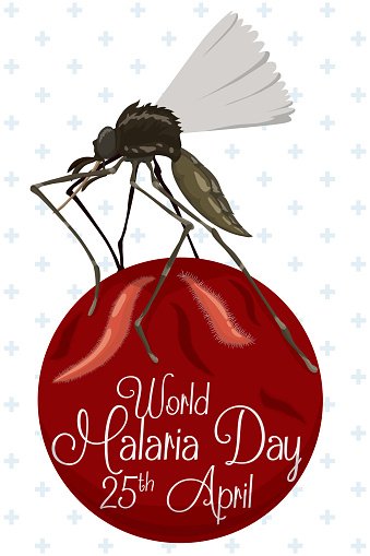 Illustration of a mosquito perched on a red blood cell with "World Malaria Day 25th April" text.
