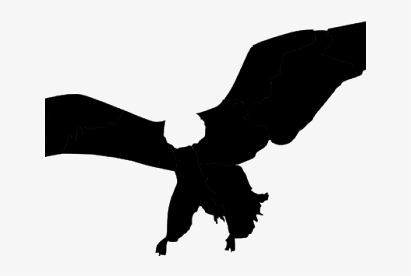 Black silhouette of a soaring eagle with wings fully spread against a white background.