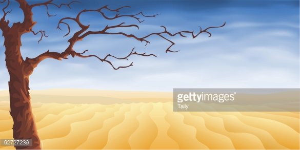 A lone leafless tree stands in a vast golden desert under a blue sky with wispy clouds.
