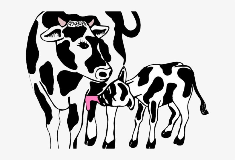 260+ Fluffy Cows Illustrations, Royalty-free Vector Graphics - Clip Art 