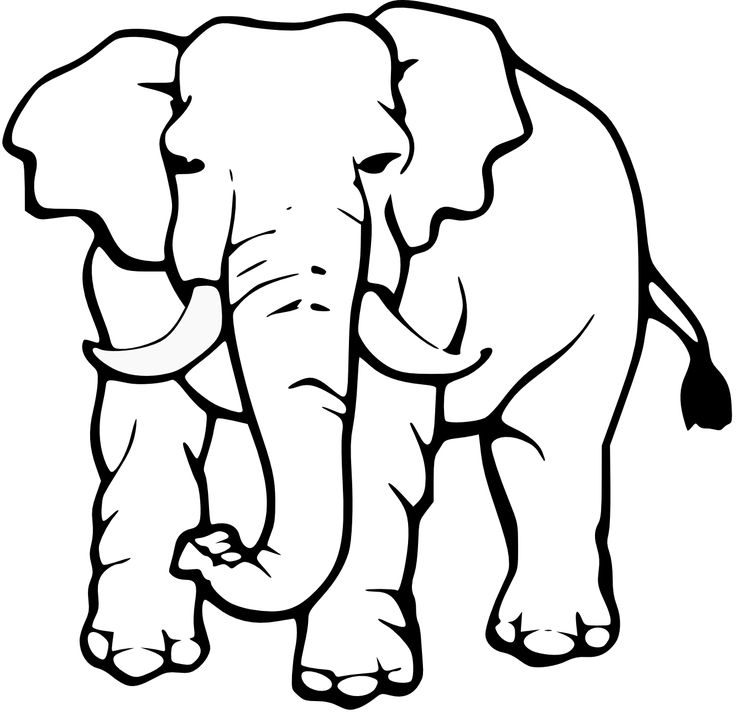 Black-and-white line drawing of two elephants standing side by side, one slightly behind the other, with visible tusks and trunks.