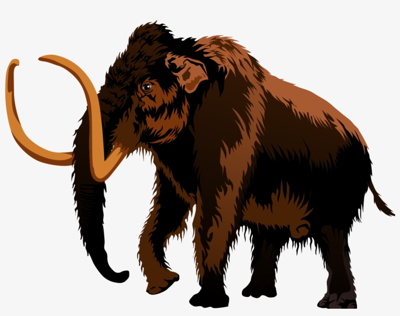 Woolly Mammoth Illustration - Prehistoric Ice Age Giant