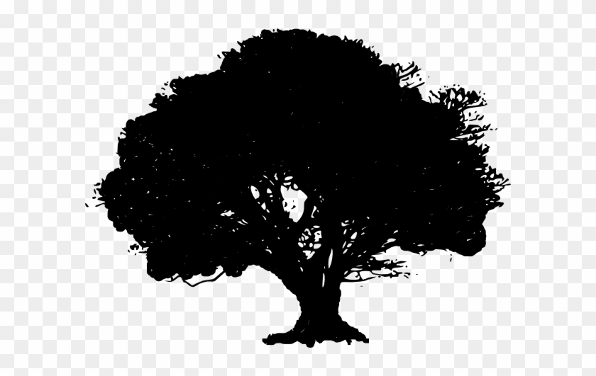 Black silhouette of a mature oak tree with full canopy and visible trunk against transparent background.