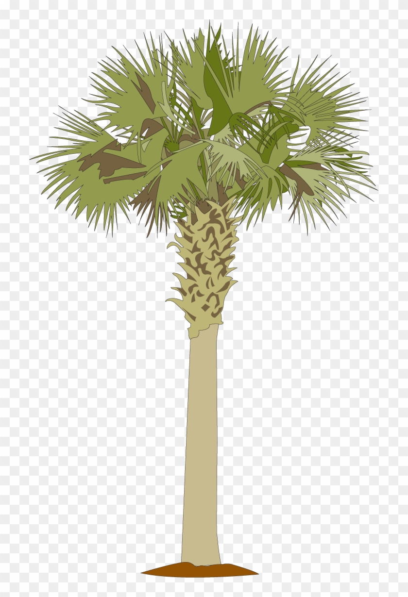South Carolina Palmetto Tree | South carolina art, Palmetto tree - Clip ...
