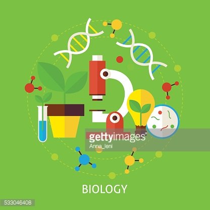Biology Laboratory Workspace And Science Equipment Concept. Stock ...