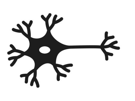 neuron clip art